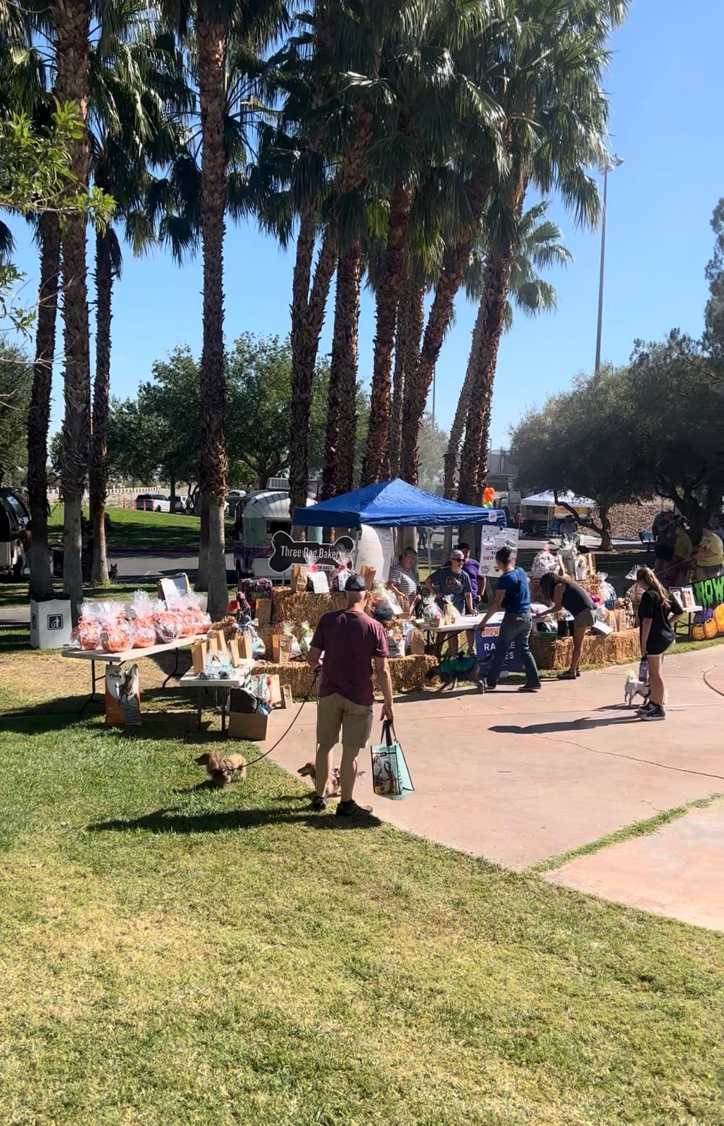Pop-up stalls and people gathered on grass under palm trees at an outdoor community event