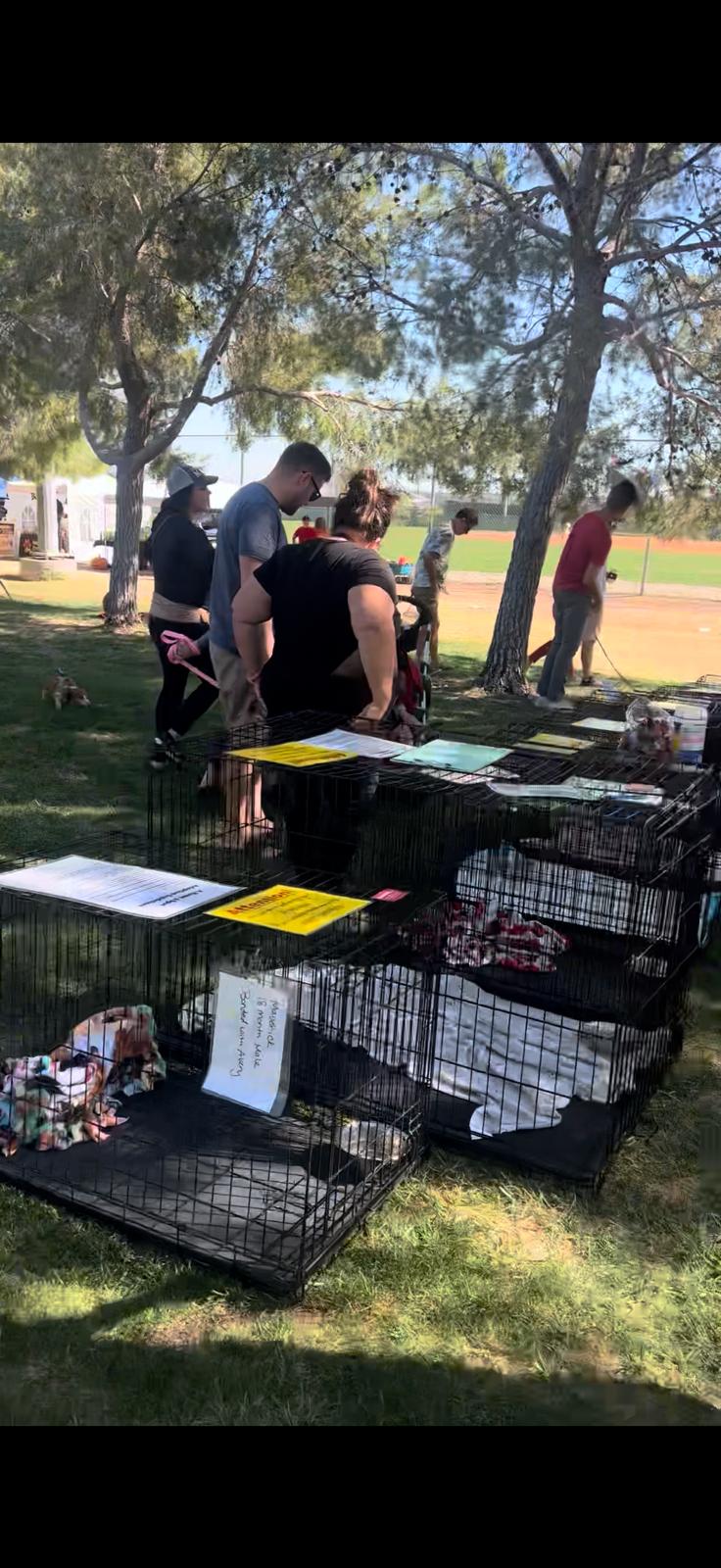People standing at tables and pet crates set up on grass at an outdoor community event