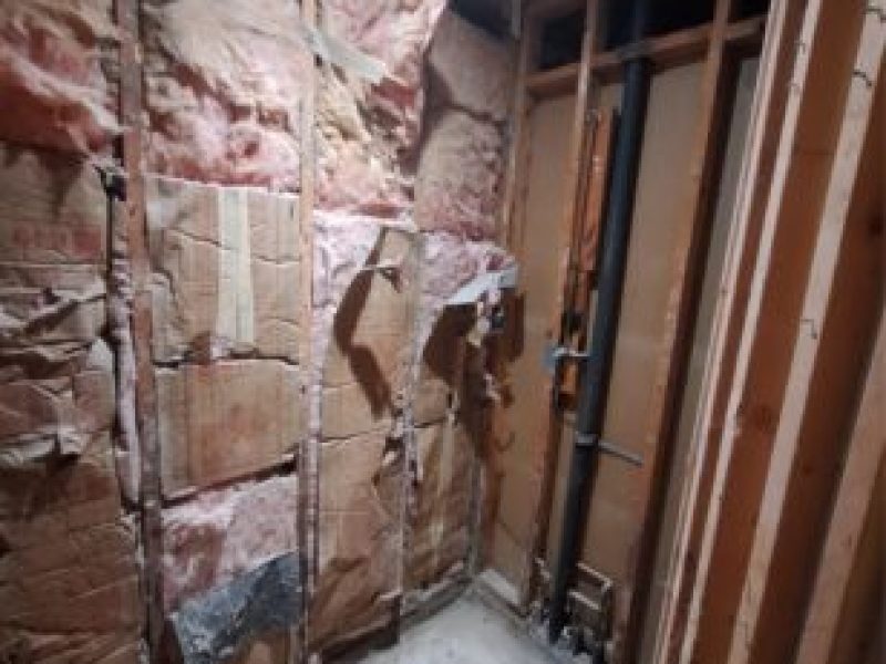 20231019_221724 Large